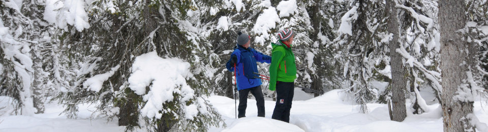 Galå Fjällgård panorama