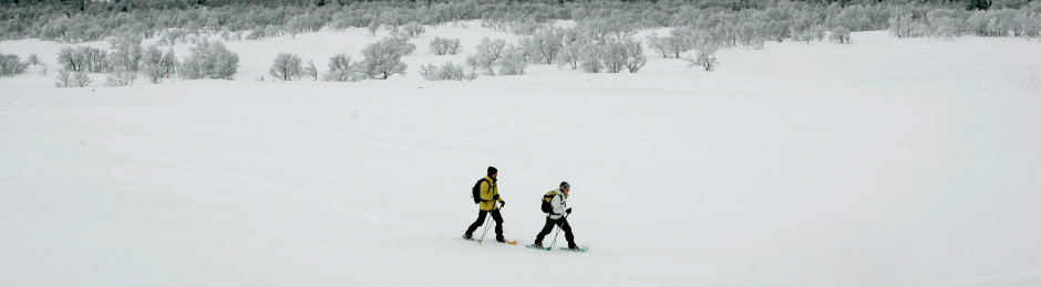 Galå Fjällgård panorama