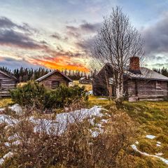 Abendsonne im Herbst in Galåbodarna