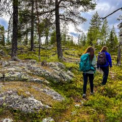Frauen wandern alleine in Schweden