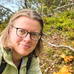 Gelbe Pfifferlinge finden in Schweden