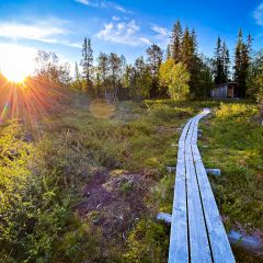 Morgenspaziergang auf dem Bohlen-Wanderweg zum Windschutz